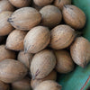 Elliott Pecans (Almost Shelled)