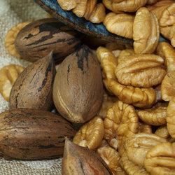 Test In Shell Pecan Product