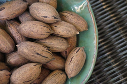 Gift Pack Pecans (In Shell)
