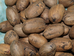 Jackson Pecans (Almost Shelled)