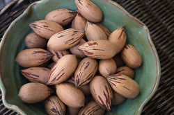 Syrup Mill Pecans (In Shell)