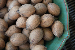 Elliott Pecans (Almost Shelled)