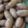 Ellis Pecans (Almost Shelled)