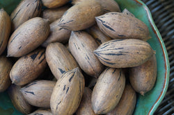 Ellis Pecans (Almost Shelled)