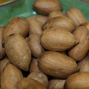 Excel Pecans (In Shell)
