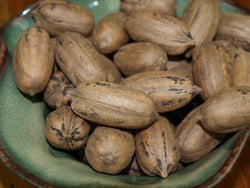 Forkert Pecans (In Shell)