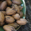 Lakota Pecans (Almost Shelled)