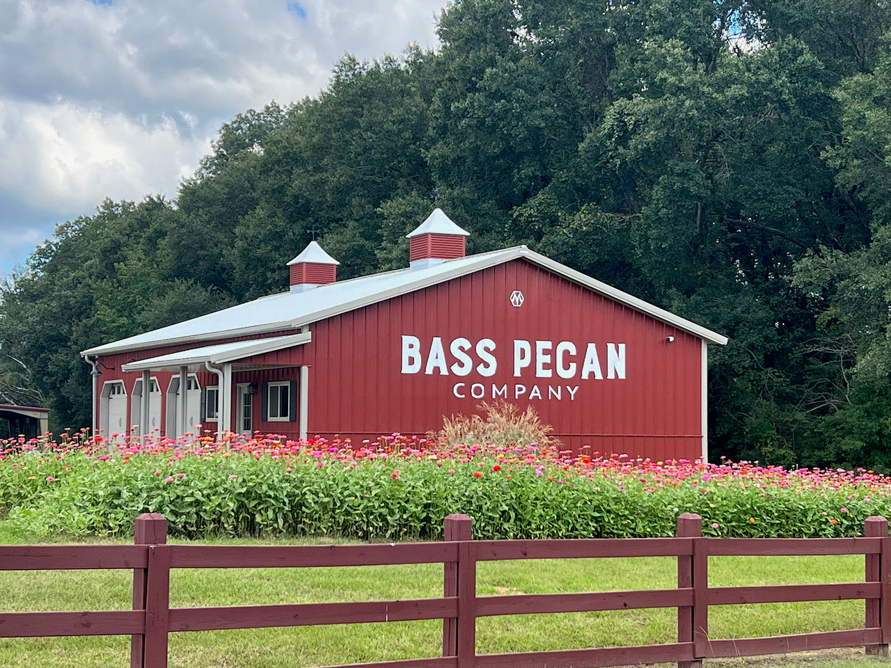 Bass Pecan